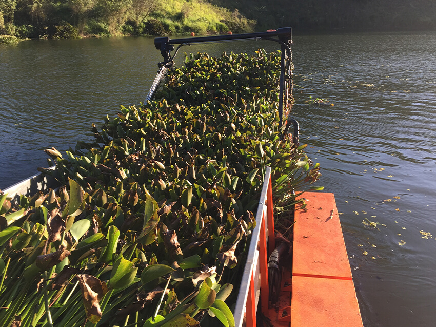 Berky Triton 550 voll mit Gewässerpflanzen auf Wasser