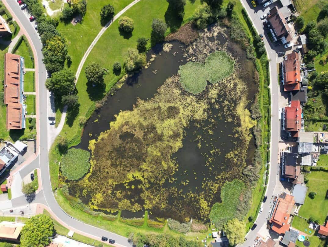 voll bewachsener Teich vor dem Einsatz des NEREUS 150