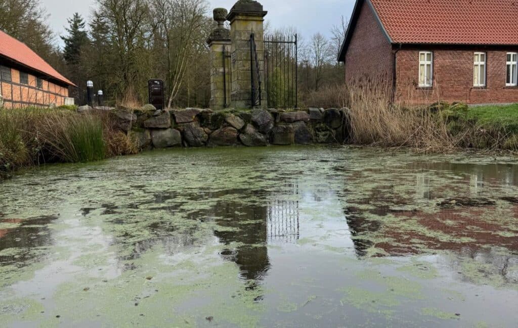 Das Anwesen Gut Gewässer voll bewachsen