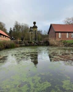 heavily overgrown water surface
