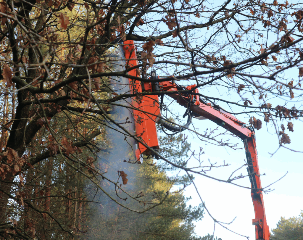 hydraulische Lichtraumprofilsäge im Einsatz
